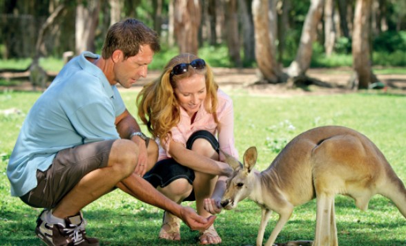 カランビン・ワイルドライフ・サンクチュアリー入場チケット